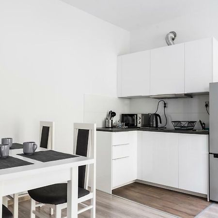 Tomasza 20 Apartment 140M2 克拉科夫 外观 照片